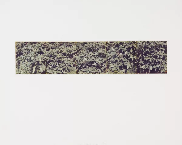 Jan Dibbets — Untitled, 1975