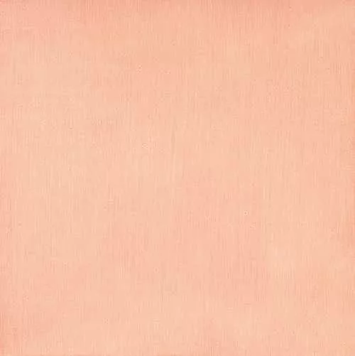 Marcia Hafif — Flesh. 2000/01.