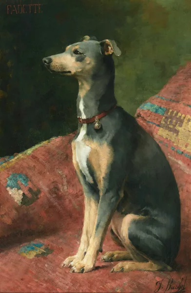Julie Buchet — Fadette (Windhund)