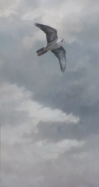 Michael Jackson — Freedom, in Flight