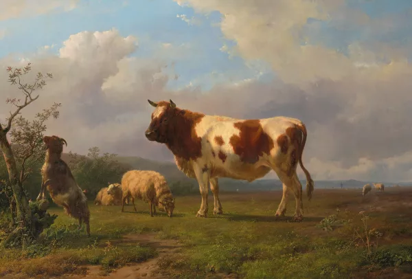 Jan Bedijs Tom — Landschaft mit Schafen, Ziege und Kuh