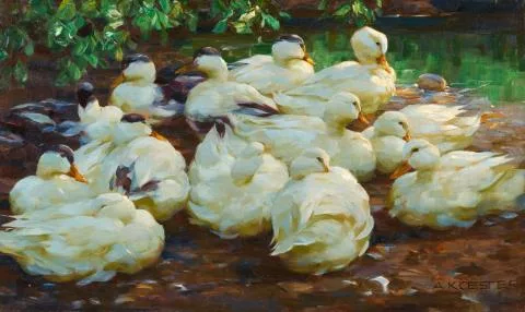 Alexander Koester — Weiße Enten am Teichufer