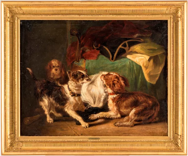 Emmanuel Noterman — Chiens jouant avec une perruque