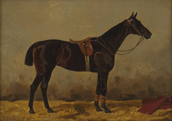 Emil Volkers — Ritratto di cavallo