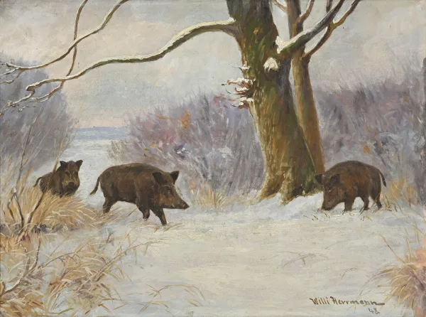 Willy Herrmann — Sangliers dans un paysage enneigé