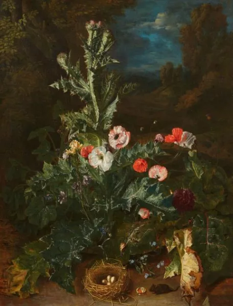 Pieter Snijers — Stillleben mit Distel und Nest