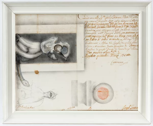 Carlo Guarienti — Carlo Guarienti (1923), La proposition, 14 mars,