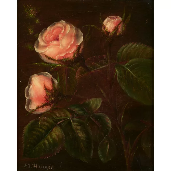 Adriana Johanna Haanen — In der Art