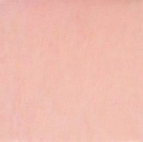 Marcia Hafif — French Painting: Barre. 1991.