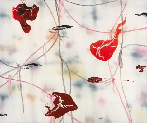 Mark Francis — Congenital