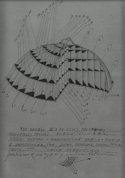 Paul Neagu — The breast