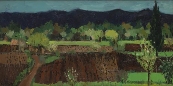 Nathalie Chabrier — Les vignes de Provence