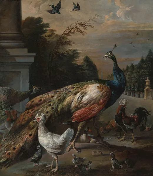 Adriaen van Oolen — Attribué à Oolen, Adriaen van — zugeschrieben Federvieh in einer Parklandschaft