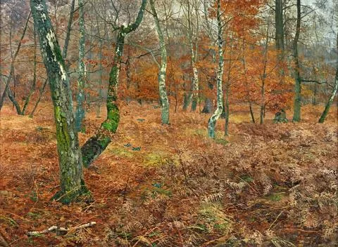Paul Müller-Kaempff — Herbstwald