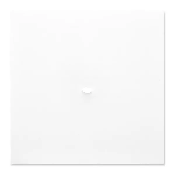 Turi Simeti — Un ovale blanc, 1982