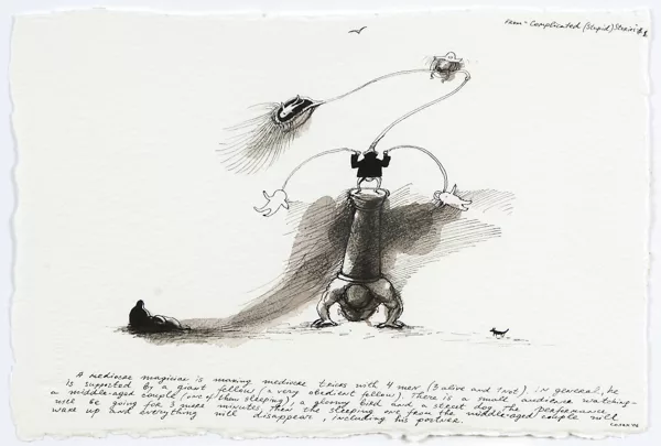 Nedko Solakov — Un magicien médiocre…, extrait de « Complicated (Stupid) Stories » 1, 2006