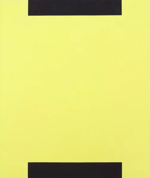 Frank Badur — Schwarz-Gelb