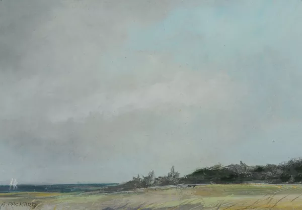 Anne Packard — Sans titre