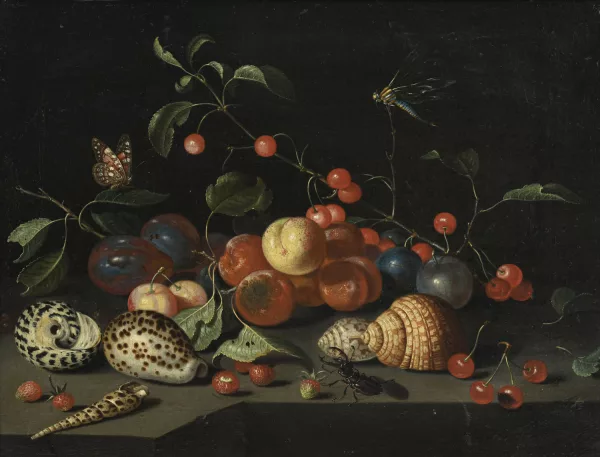 Jacob Marrel — Nature morte aux fruits et aux coquillages