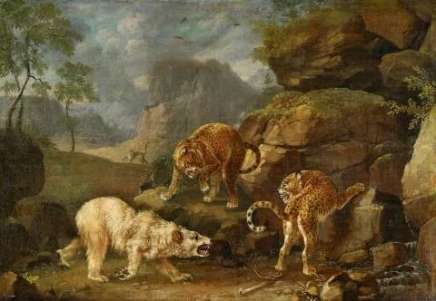 Johann Elias Ridinger — Kampf zwischen zwei Leoparden und einem Eisbär