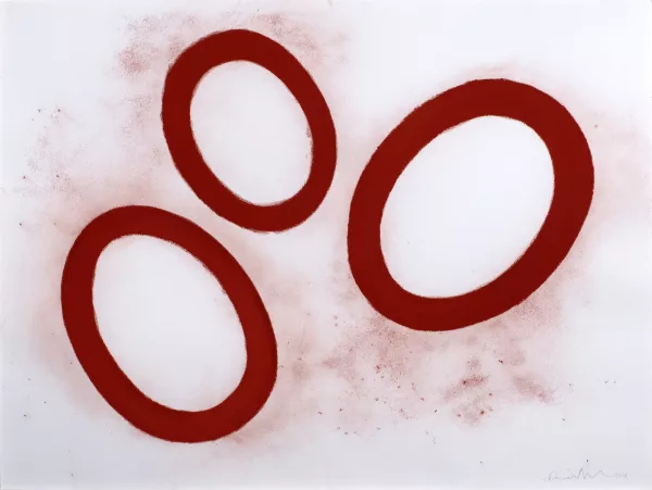 David Nash — Red & Black Cells, 2012