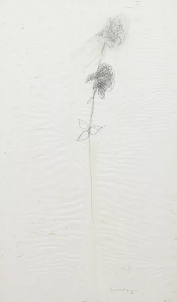 Joan Hernández Pijuan — Rose