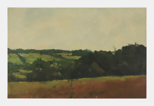 Philippe Cognee — Ein Tal (1994)