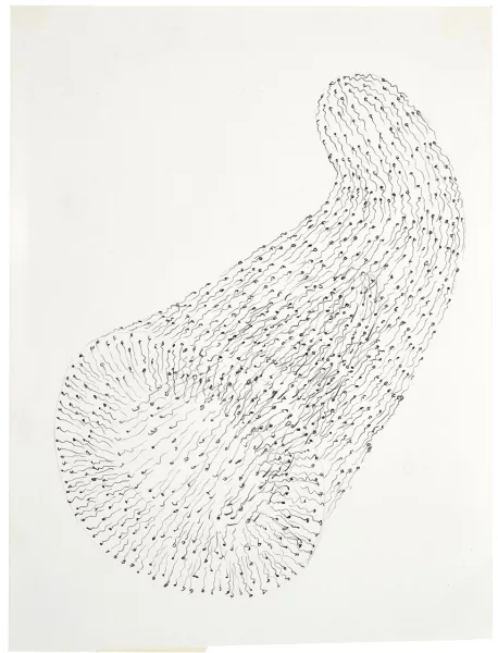 Tony Cragg — Sans titre