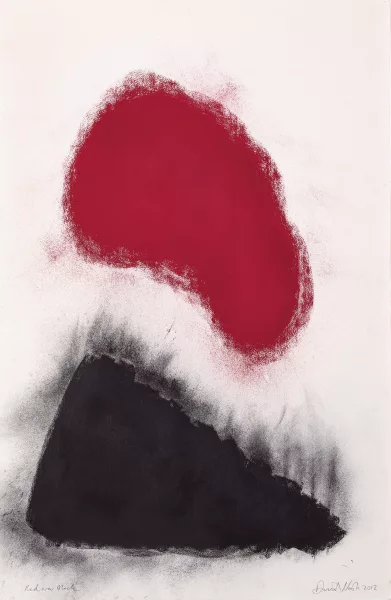 David Nash — Red over Black, 2012