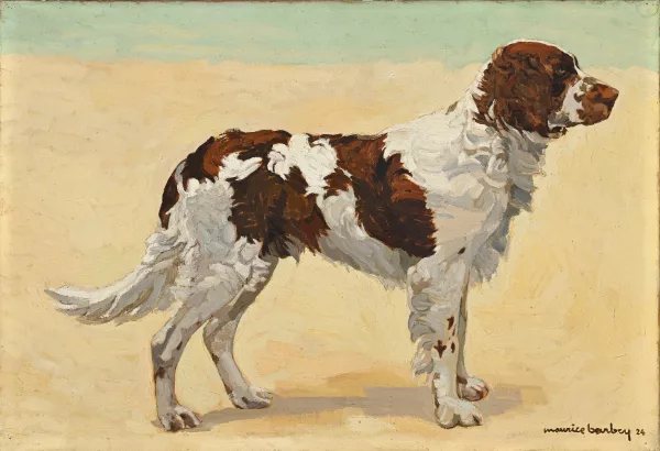 Maurice Barbey — Springer anglais