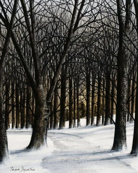 Jacques Deperthes — Sentier enneigé dans la forêt