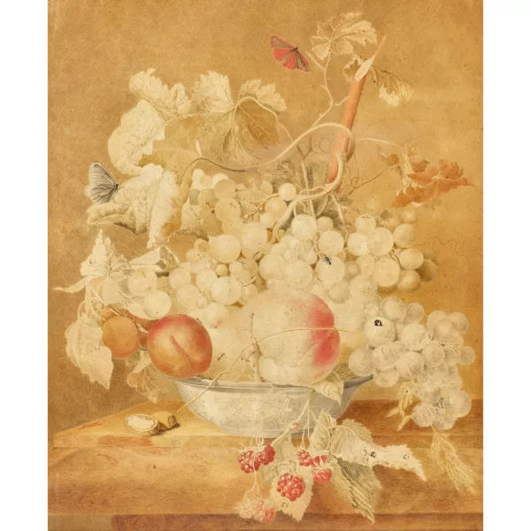 Jan Matthias Kok — Früchtestillleben mit Insekten.