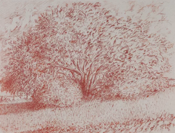Günter Grass — Baum, 1986