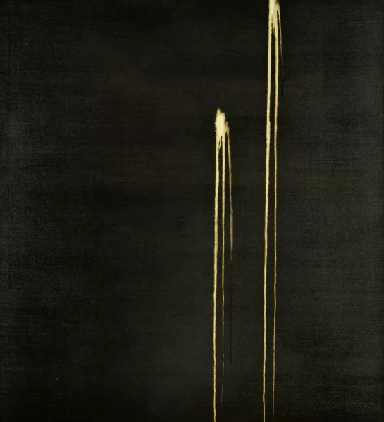 Callum Innes — Two Identified Forms, 1995