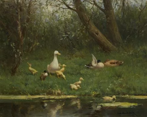 Constant Artz — Enten am Wasserrand