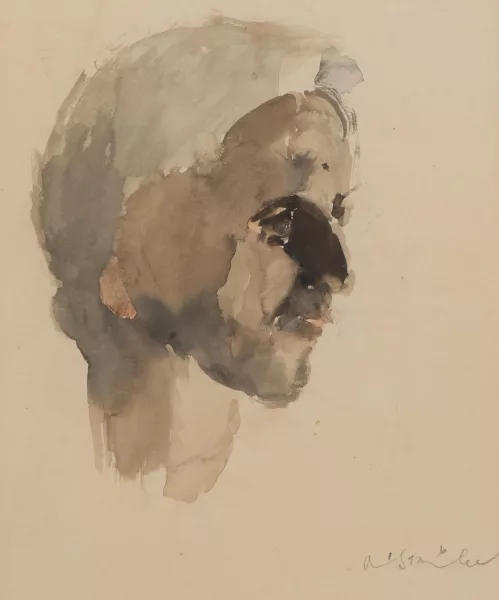 Adolf Strübe — Profil d'homme