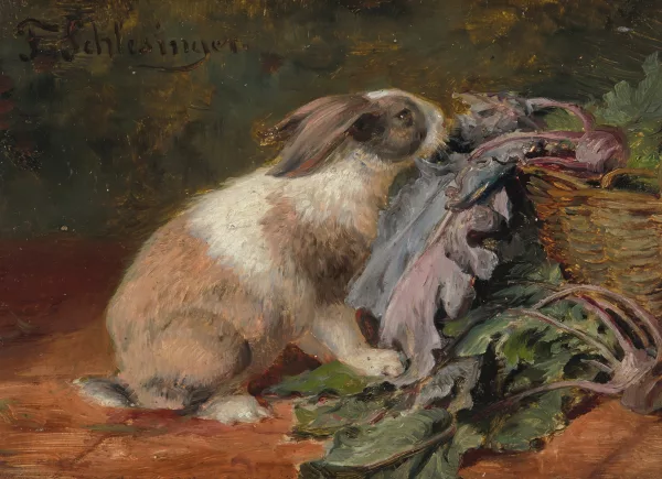 Felix Schlesinger — Kaninchen beim Knabberen am Kraut