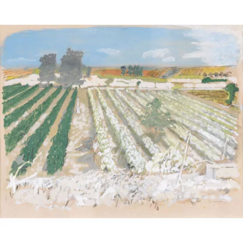 Maurice Brianchon — Weinreben in der Bourgogne
