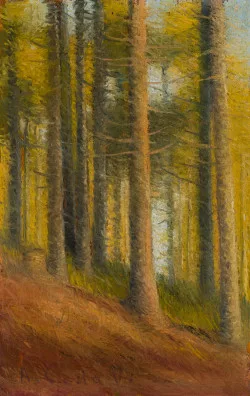 Antonio Calderara — Una foresta, Un albero in un paesaggio, Un piccolo paesaggio