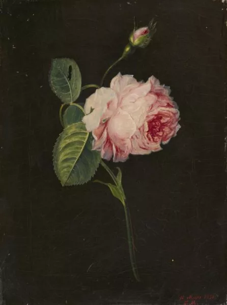 Eduard Magnus — Rosenzweig