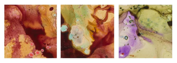 Jackie Battenfield — Jackie BATTENFIELD (née en 1950), trois acryliques sur Mylar