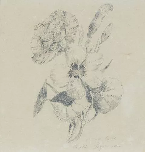 Emilie Preyer — Nelkenblüten und Knospen