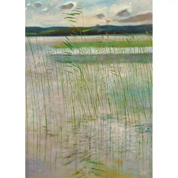 René Genis — "Les roseaux d'Étival (Jura)".