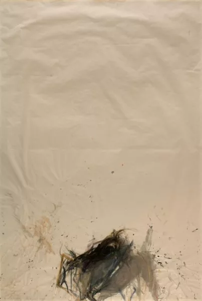 Martha Jungwirth — Sans titre