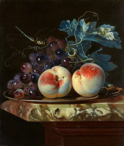 Willem van Aelst — Stilleben mit zwei Pfirsichen und Weintrauben auf einem Zinnteller, mit einer Libelle, auf einer Marmorplatte