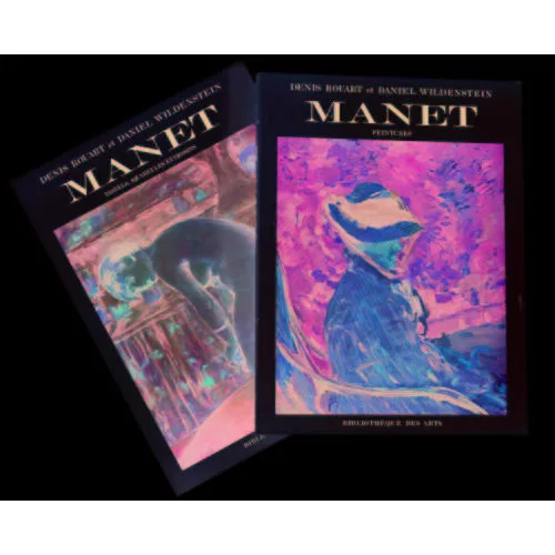 Édouard Manet — Denis Rouart/Daniel Wildenstein : « Eduard Manet… »