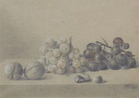 Emilie Preyer — Stilleben mit Trauben und Nüssen