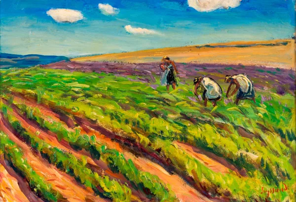 René Seyssaud — "Ramasseurs de lavande"