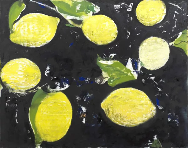 Reinhard Stangl — Citrons sur fond noir