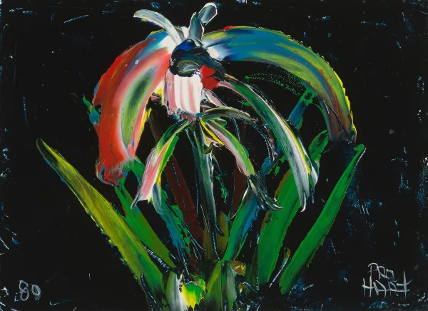 Pro Hart — Orchid